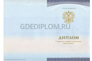 diplom-tehnikuma-kolledha-2014-7